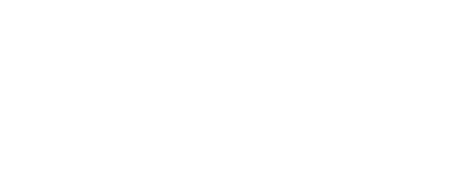 Dog Sport Roma Logo
